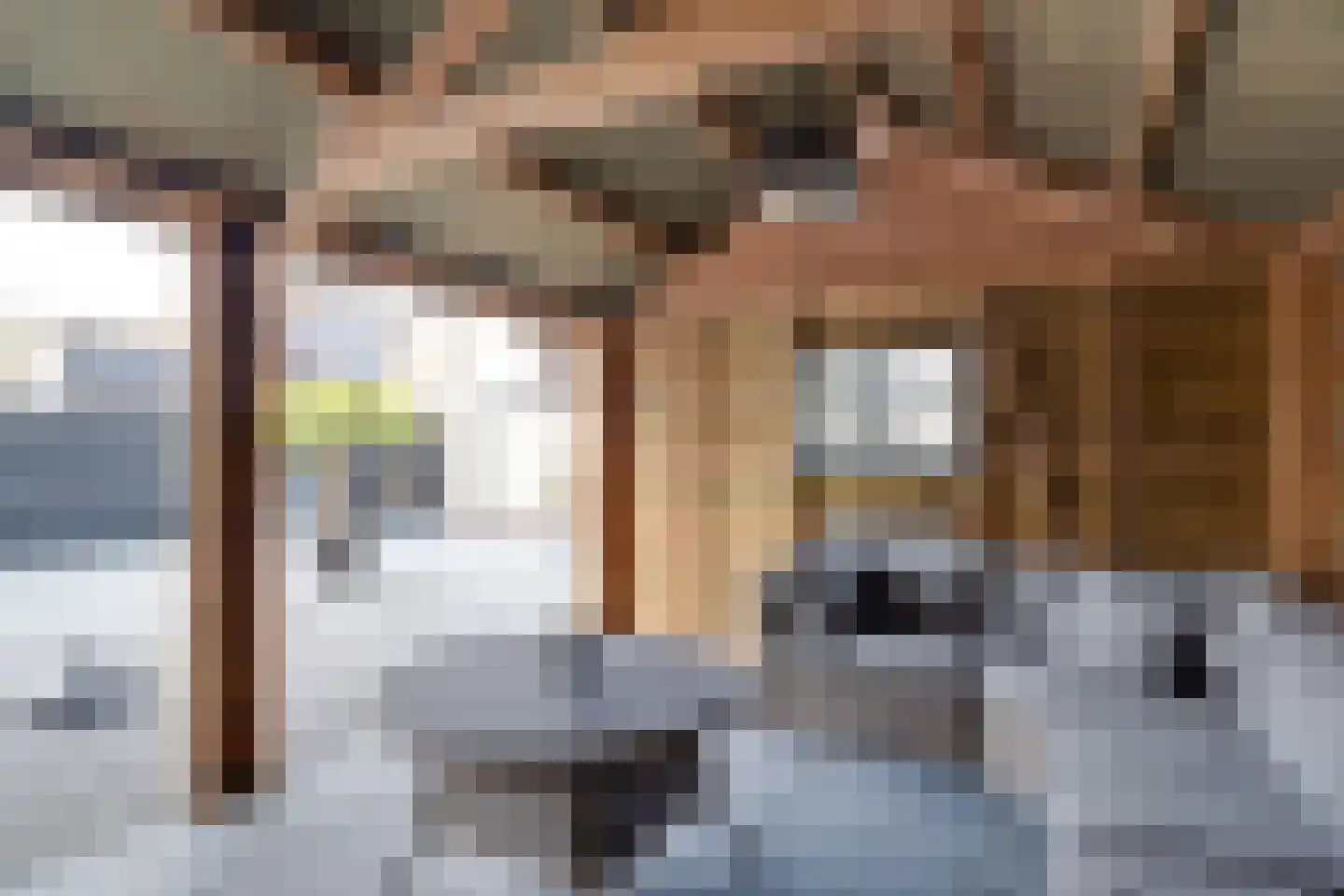 Biezenveld 30 Assen thumbnail 34