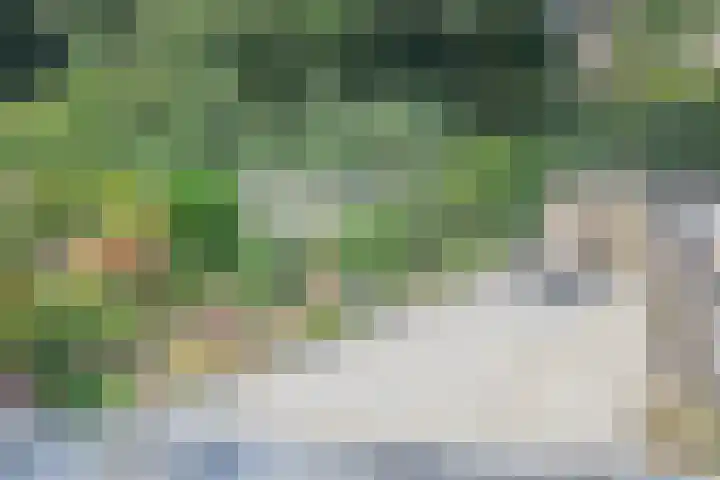 Biezenveld 30 Assen thumbnail 44