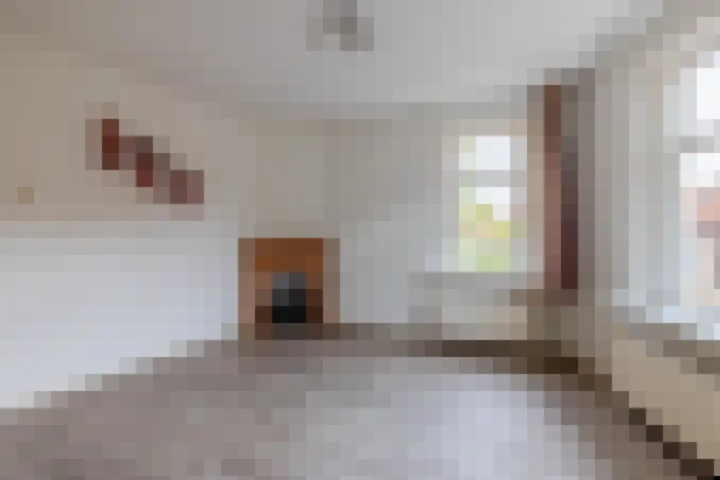 Biezenwal 2 A Oudewater thumbnail 9