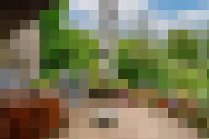 Biezenweide 24 Zevenaar thumbnail 15