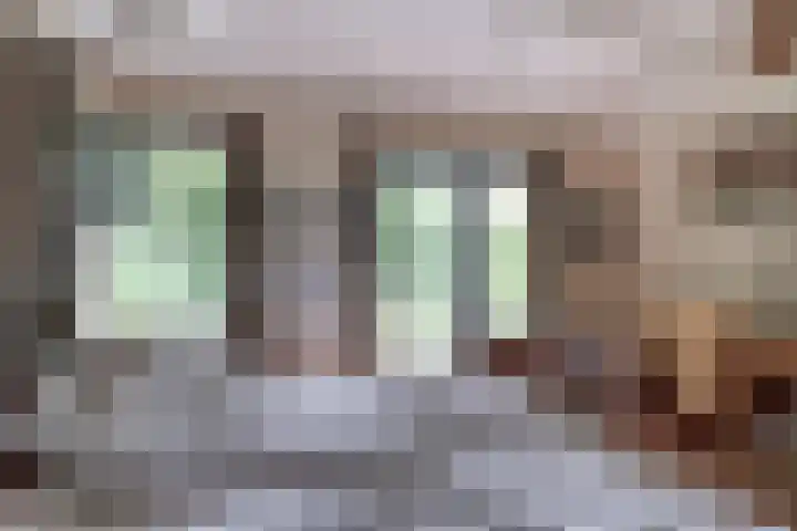 Biezenweide 24 Zevenaar thumbnail 23