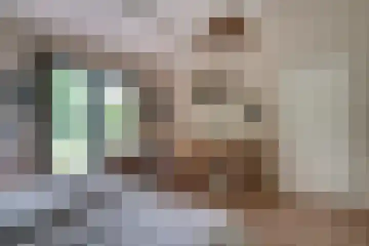 Biezenweide 24 Zevenaar thumbnail 24
