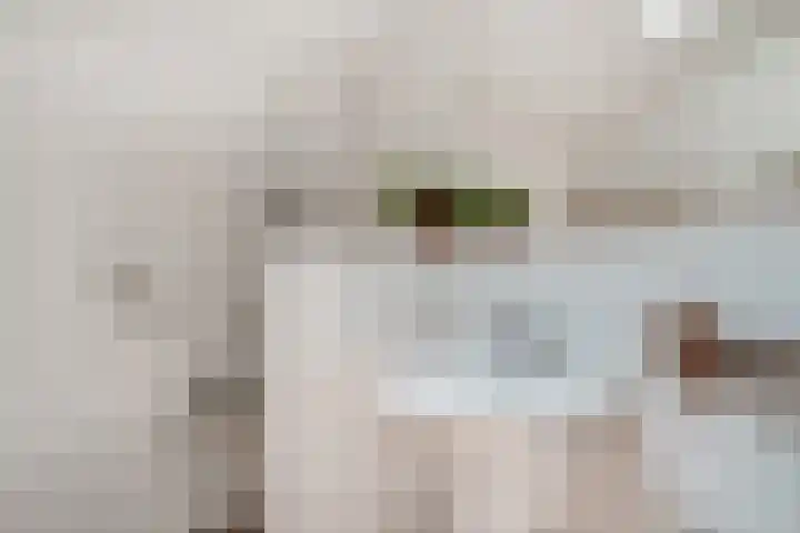 Biezenweide 24 Zevenaar thumbnail 27