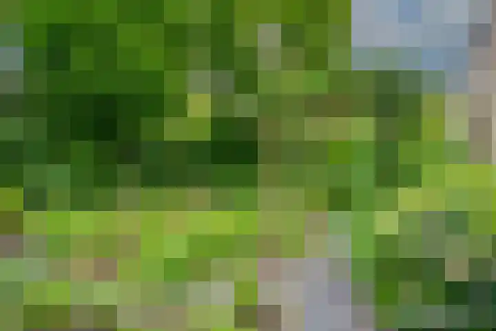 Biezenweide 24 Zevenaar thumbnail 31