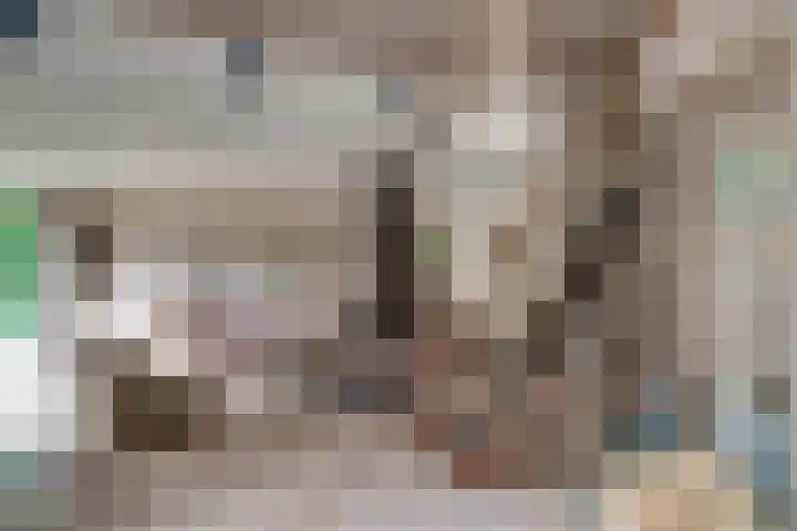 Biezenweide 24 Zevenaar thumbnail 32