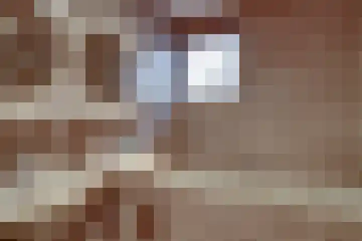 Biezenweide 24 Zevenaar thumbnail 38