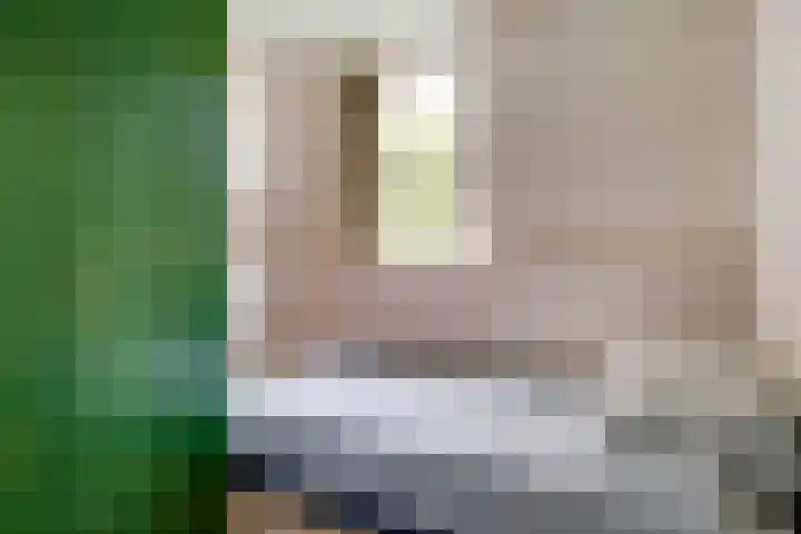 Biezenweide 24 Zevenaar thumbnail 41