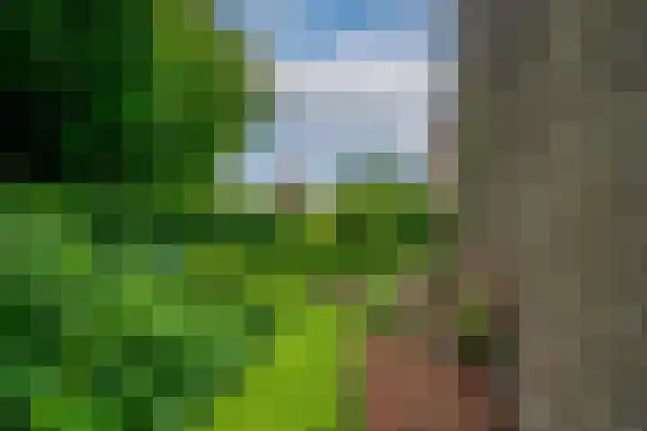 Biezenweide 24 Zevenaar thumbnail 43