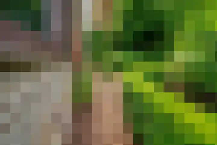 Biezenweide 24 Zevenaar thumbnail 45