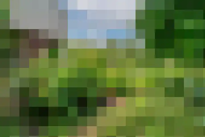 Biezenweide 24 Zevenaar thumbnail 46