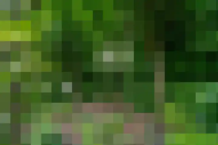 Biezenweide 24 Zevenaar thumbnail 48