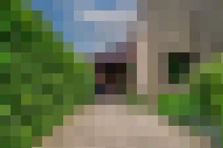 Biezenweide 24 Zevenaar thumbnail 5