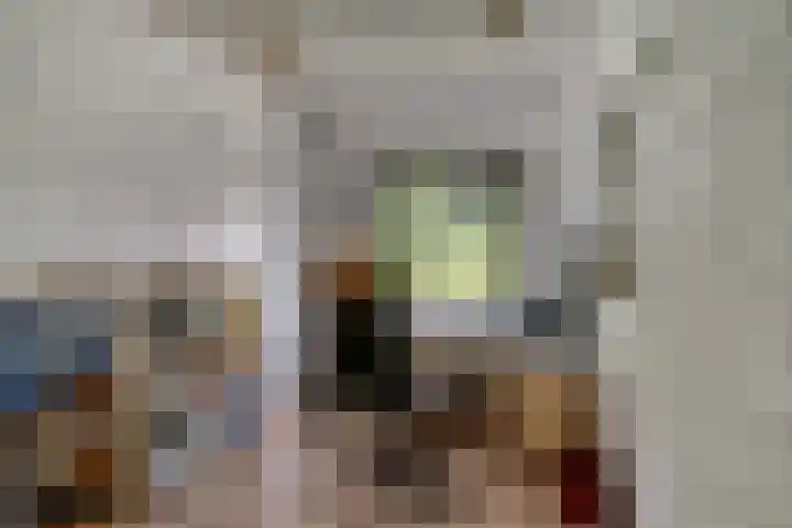 Biezenweide 24 Zevenaar thumbnail 9