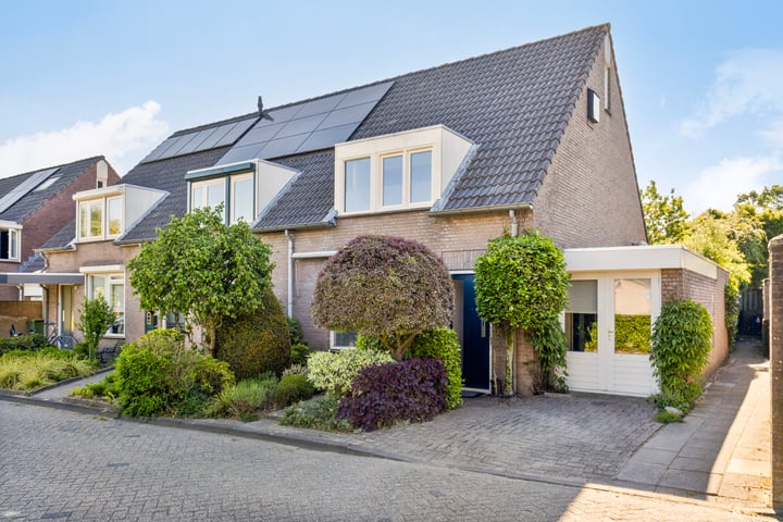 Biggekruid 2 in Asten foto