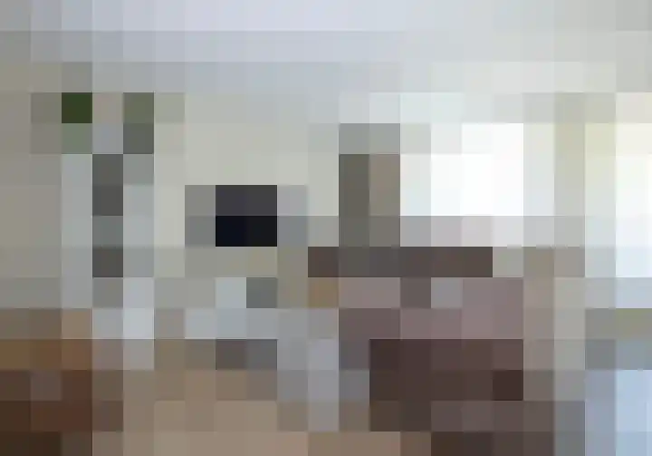 Biggenstraat 24 Uden thumbnail 15