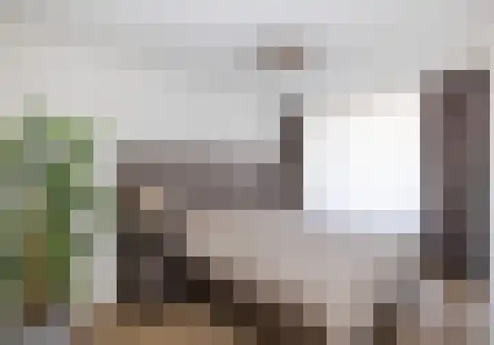 Biggenstraat 24 Uden thumbnail 26