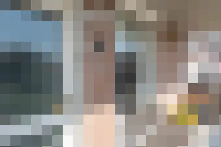 Biggenstraat 40 Uden thumbnail 8