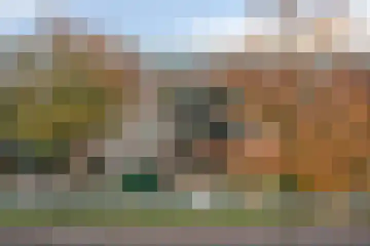 Biggenstraat 50 Uden thumbnail 10