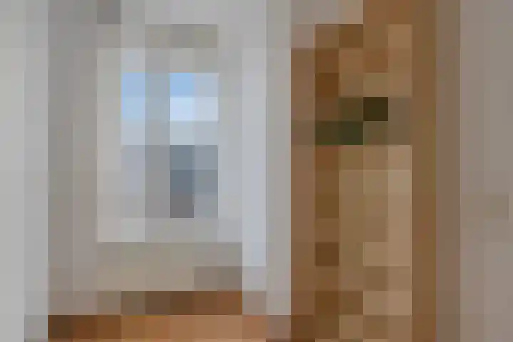 Biggenstraat 50 Uden thumbnail 34