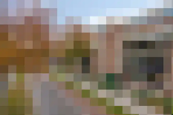 Biggenstraat 50 Uden thumbnail 6