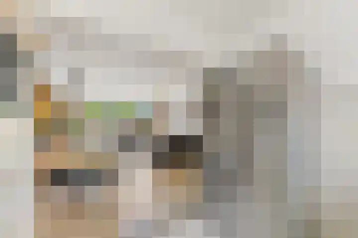 Biggenweide 20 Zoetermeer thumbnail 14