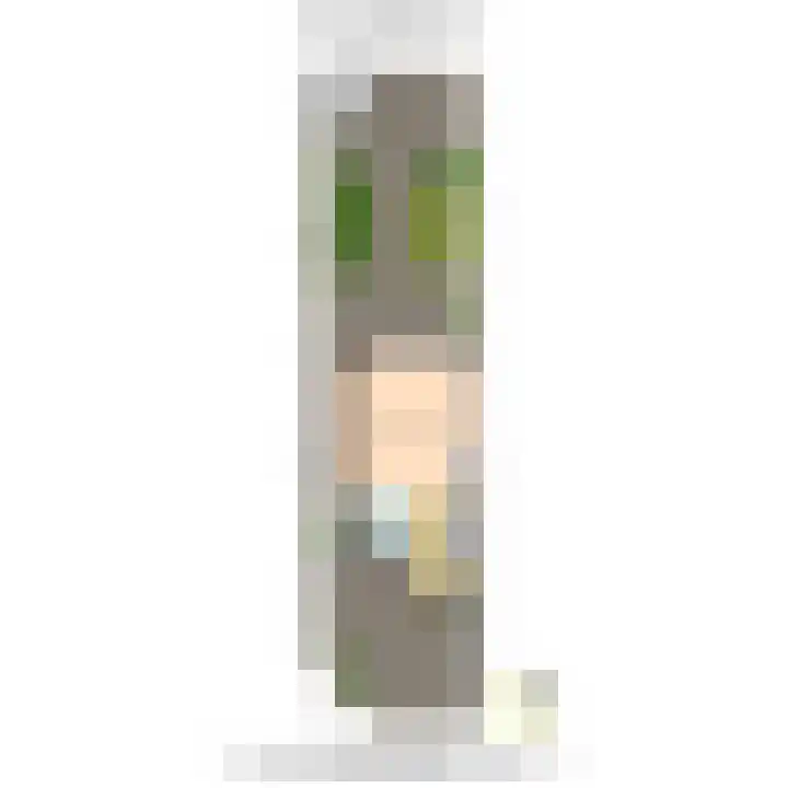 Biggenweide 20 Zoetermeer thumbnail 43