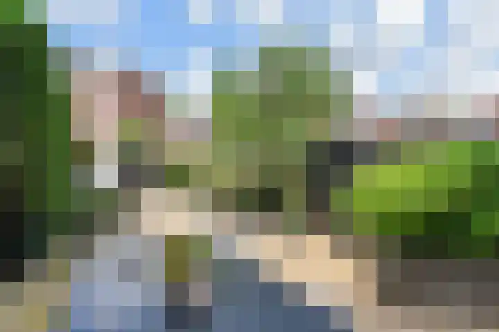 Biggenweide 5 Zoetermeer thumbnail 18