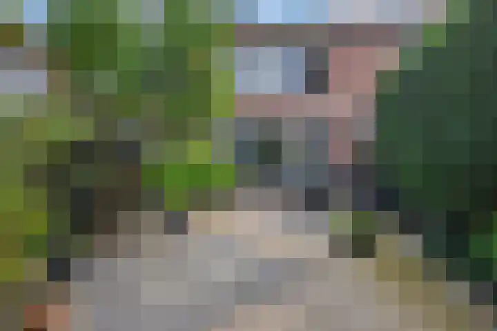 Biggenweide 5 Zoetermeer thumbnail 22