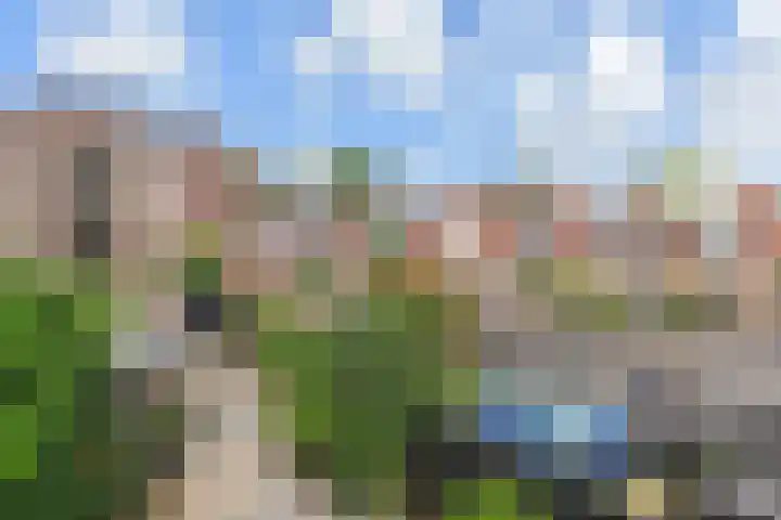 Biggenweide 5 Zoetermeer thumbnail 36