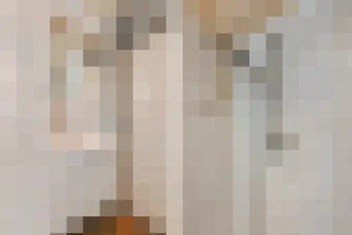 Biggenweide 5 Zoetermeer thumbnail 4