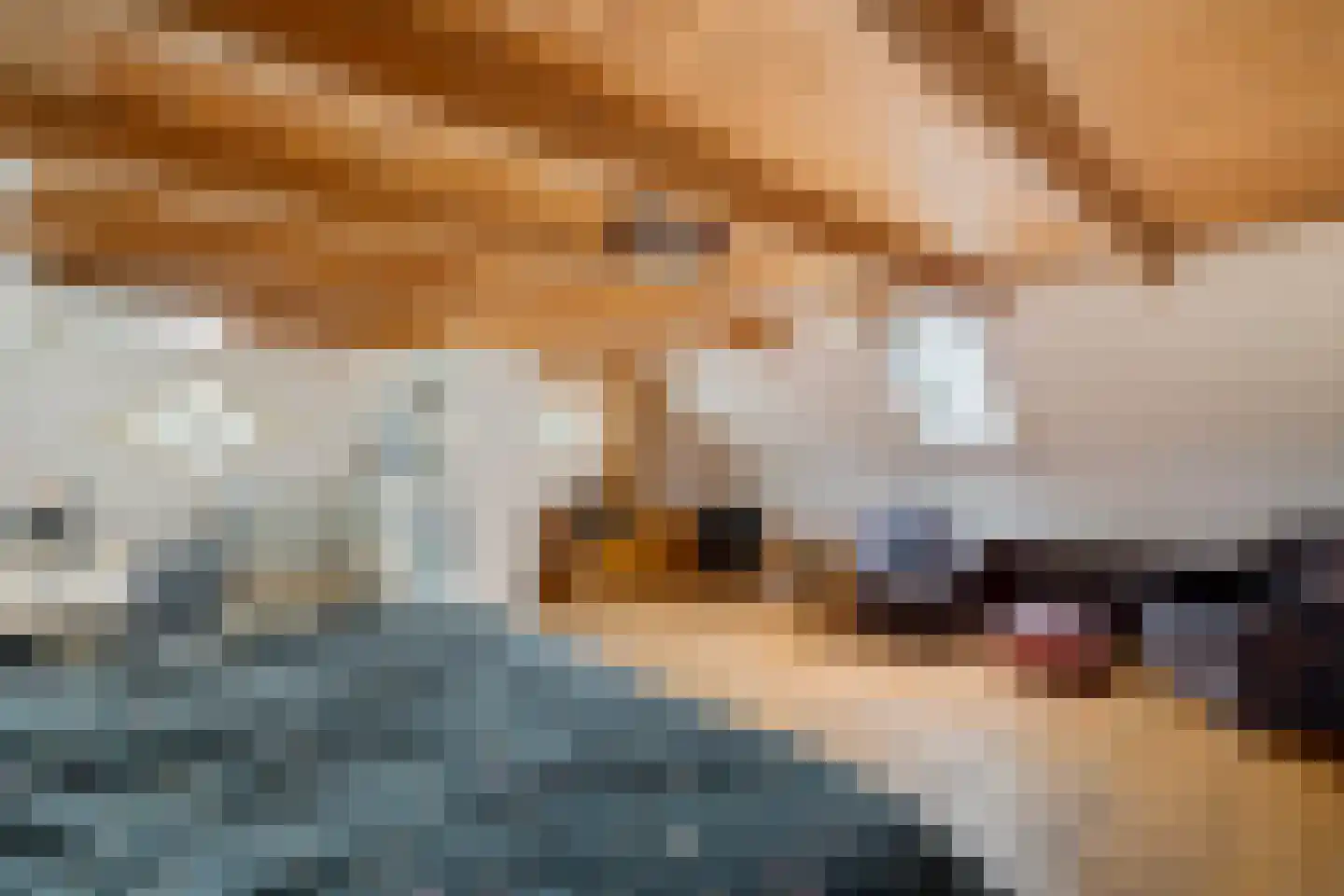 Screenshot van de website van www.bijbarbel.nl