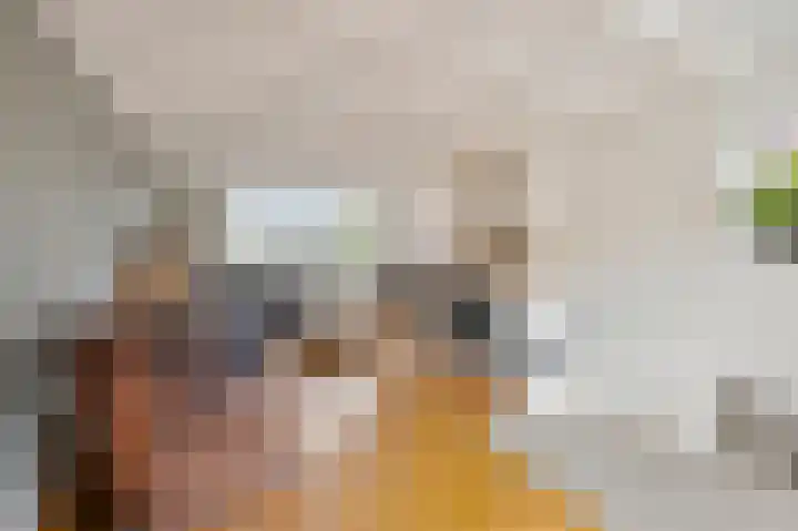 Bij de Gracht 2 Susteren thumbnail 10