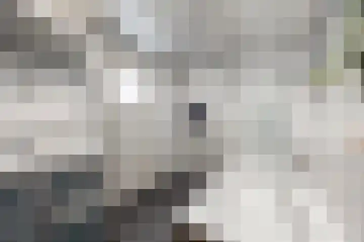 Bij de Gracht 2 Susteren thumbnail 25