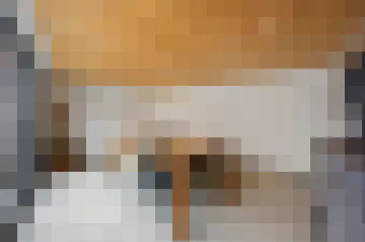 Bij de Gracht 2 Susteren thumbnail 29