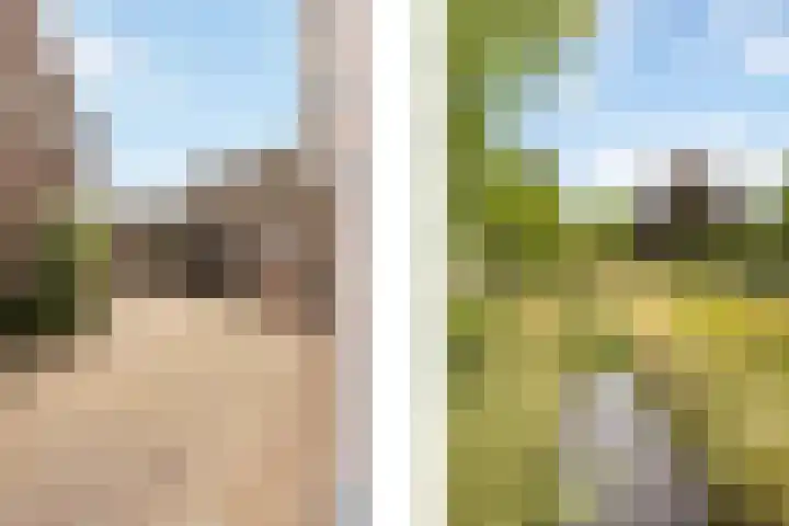 Bij de Gracht 2 Susteren thumbnail 6