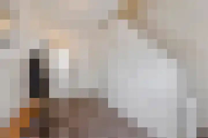 Bij de Gracht 2 Susteren thumbnail 8