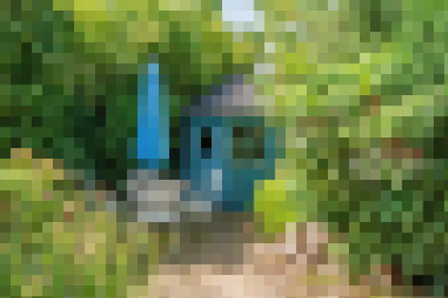 Bij de Postwagen 7 Venlo thumbnail 39