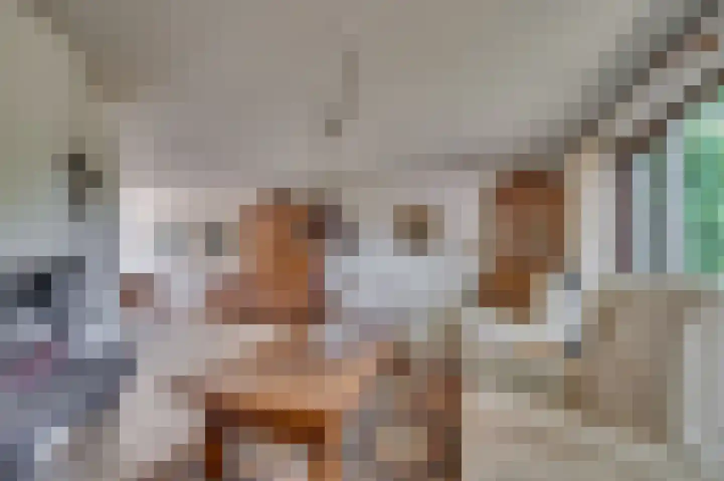 Bij de Postwagen 7 Venlo thumbnail 9
