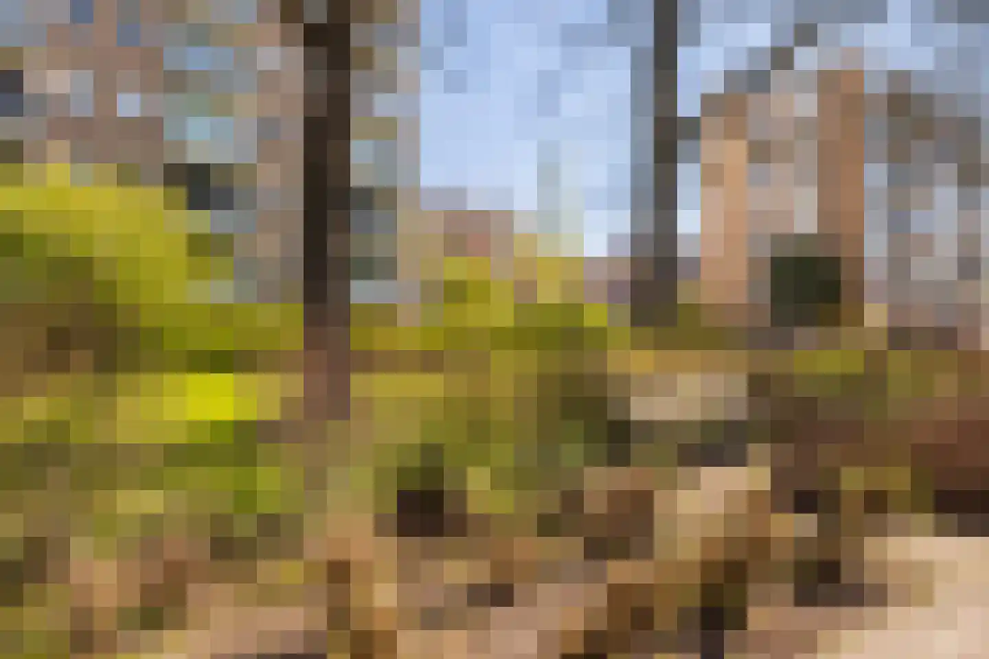 Bijdorp 21 Amstelveen thumbnail 34