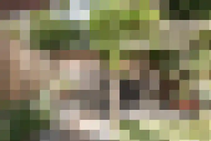 Bijdorplaan 155 Haarlem thumbnail 17