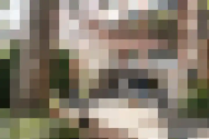 Bijdorplaan 155 Haarlem thumbnail 21