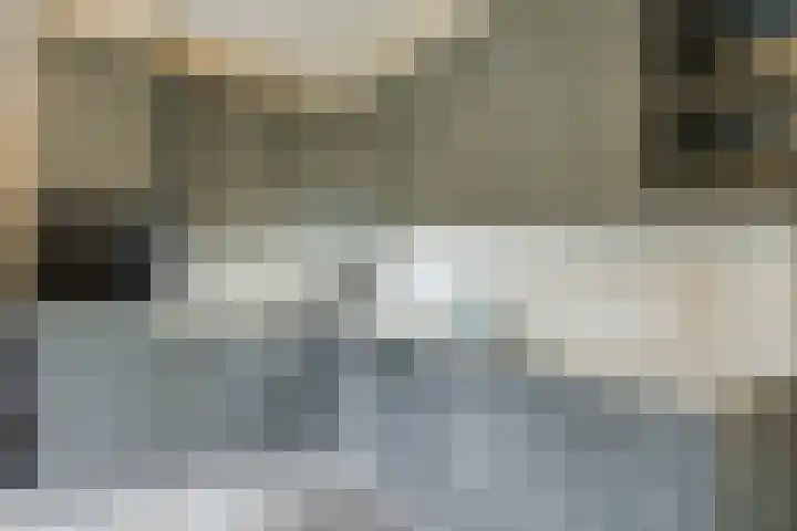 Bijenkamp 10 Zuidwolde thumbnail 10