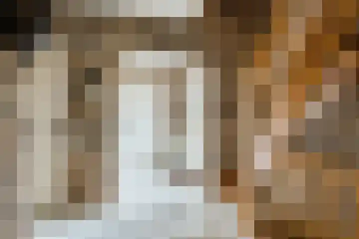 Bijenkamp 10 Zuidwolde thumbnail 16