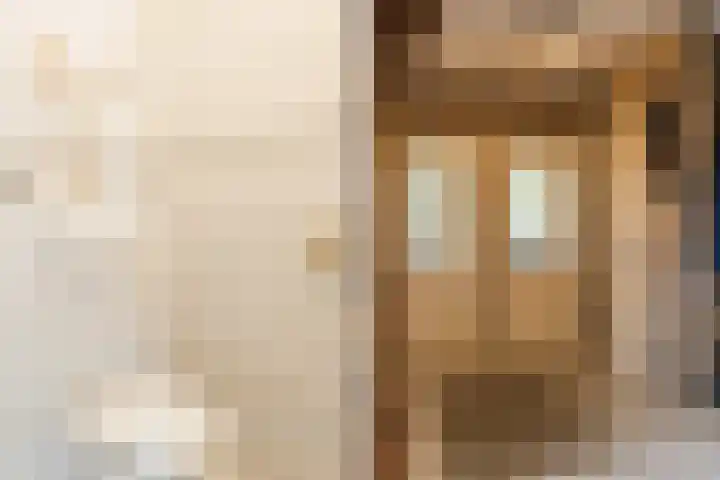 Bijenkamp 10 Zuidwolde thumbnail 24