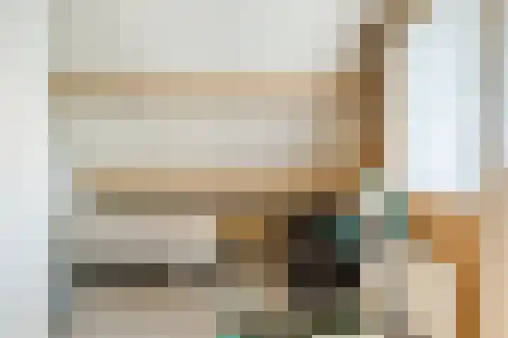 Bijenkamp 10 Zuidwolde thumbnail 29