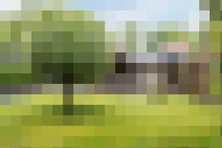 Bijenkamp 10 Zuidwolde thumbnail 36
