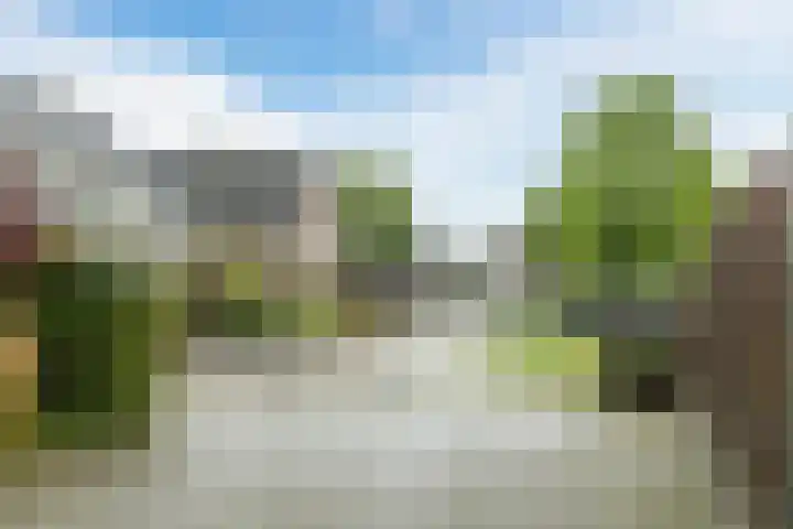 Bijenkamp 10 Zuidwolde thumbnail 40