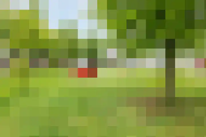Bijenkamp 10 Zuidwolde thumbnail 41