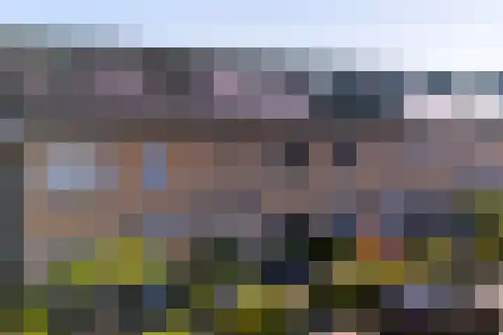 Bijenkorf 69 Eerbeek