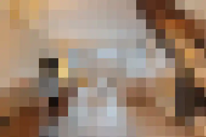 Bijland 206 Uden thumbnail 10